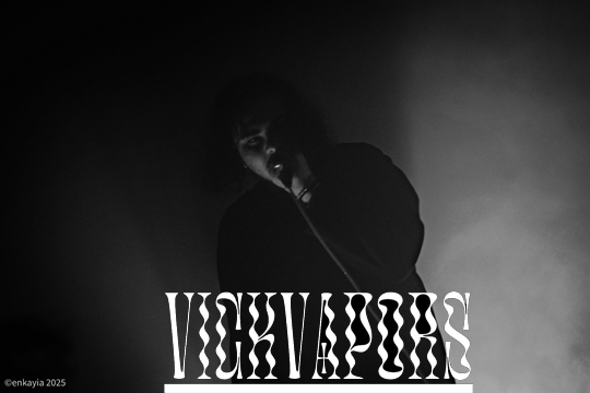 VICKVAPORS-2025 (68K)